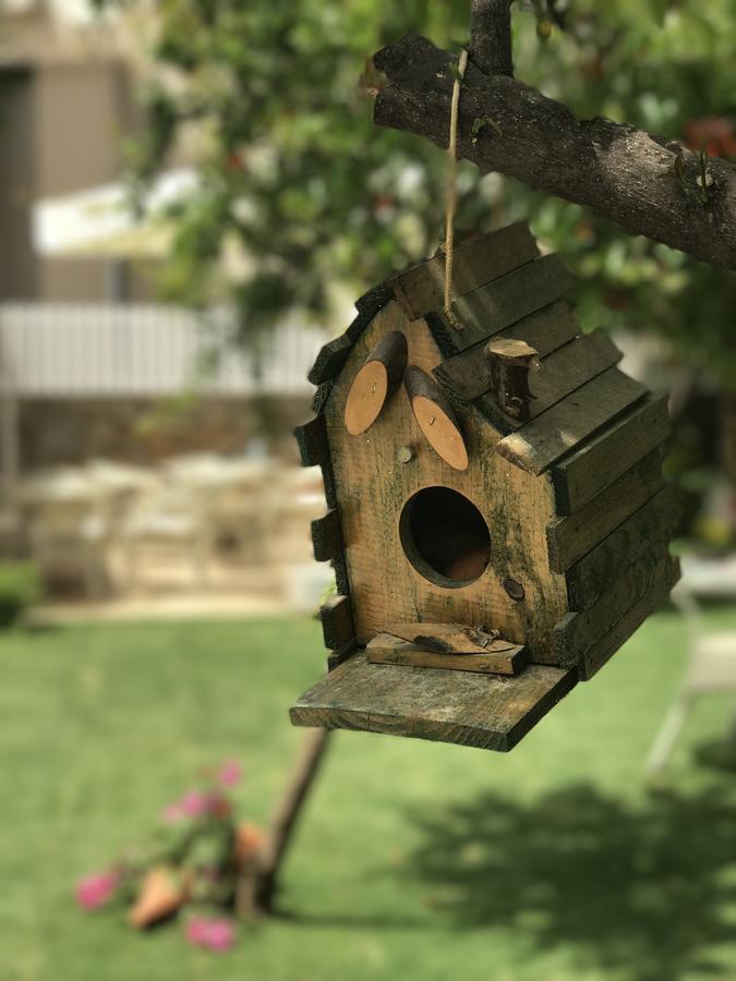Grandma'S Garden Aparthotel Dalyan Εξωτερικό φωτογραφία